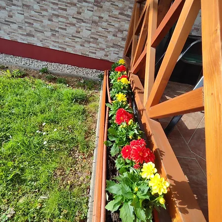 Havasi Vendeghaz Apartment *