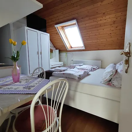 Havasi Vendeghaz Apartment *