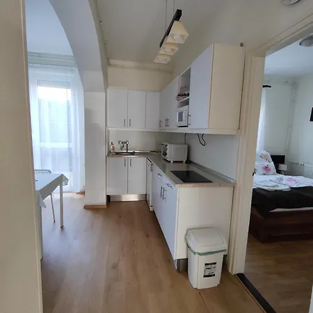 Havasi Vendeghaz Apartment *