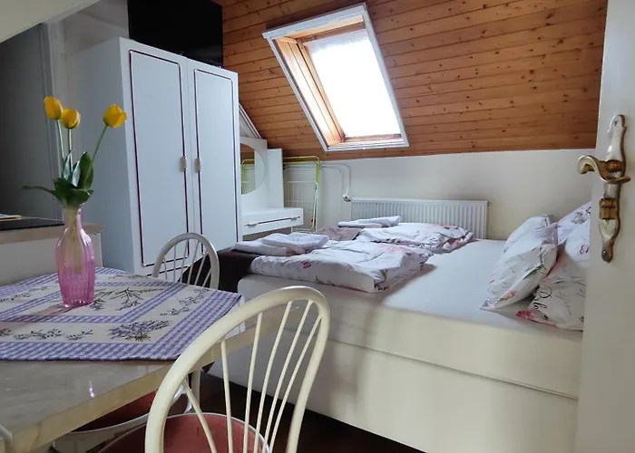 Havasi Vendeghaz Apartmán *