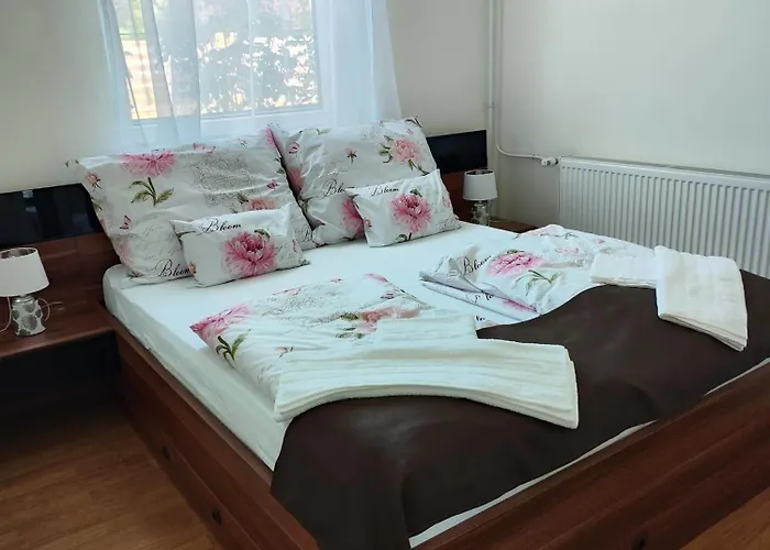 Havasi Vendeghaz Apartmán *