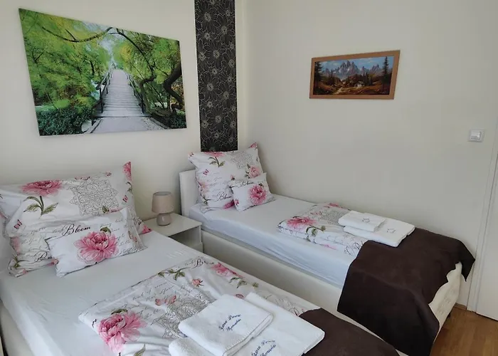 Apartmán Havasi Vendeghaz *
